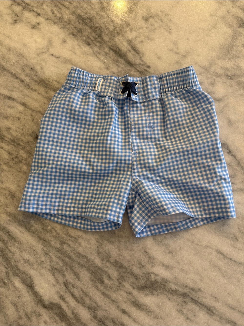 Light Blue Gingham Swim Shorts